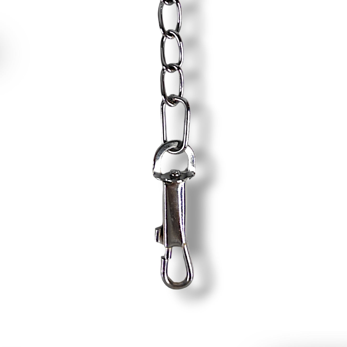 5ft Chain Leash For Cats & Dogs