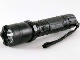Taser Torch Flashlight 1101 | Perfect for a disguised self defense tool