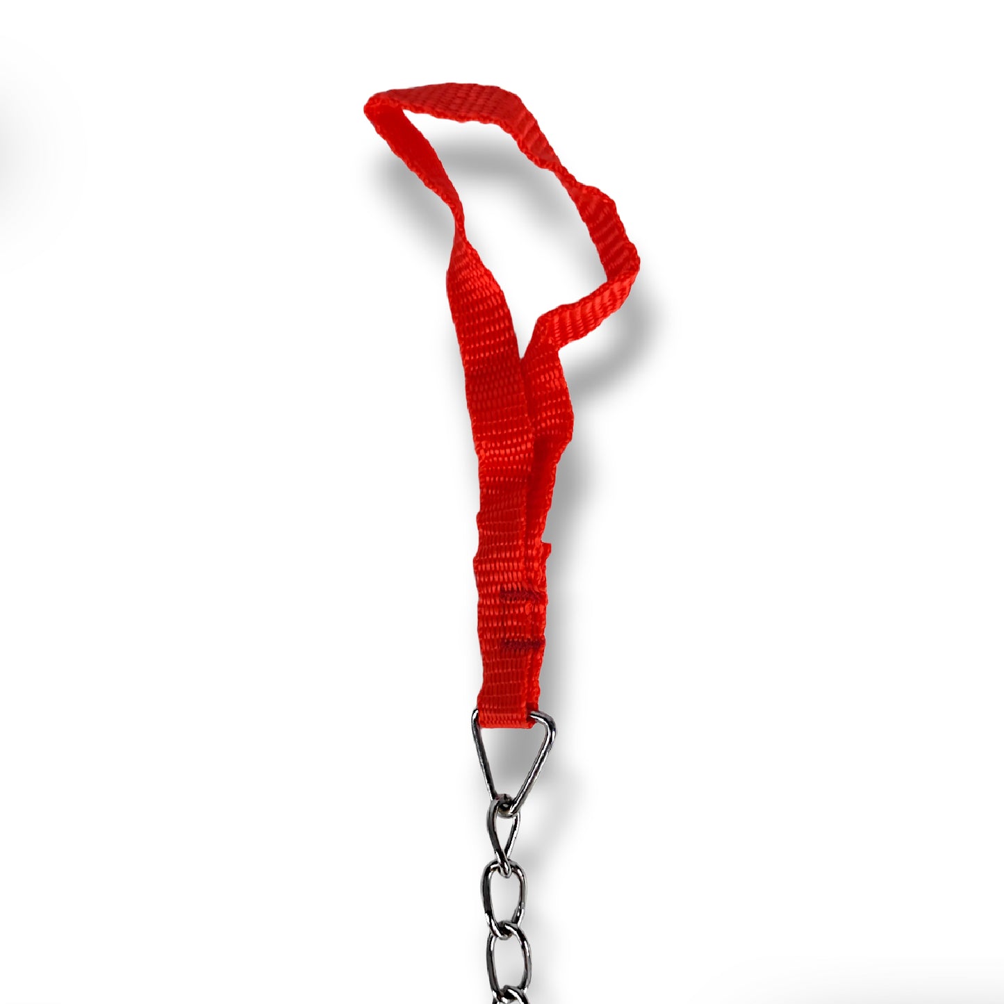 5ft Chain Leash For Cats & Dogs