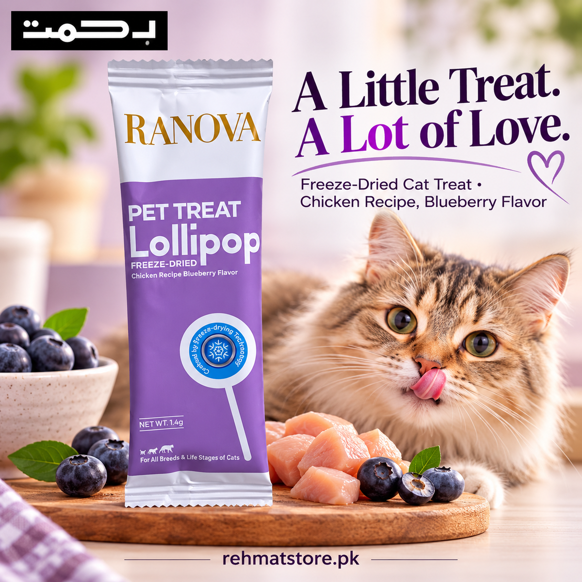 Ranova Freeze-Dried Pet Treat Lollipop | Cranberry / Pumpkin / Grass / Blueberry / Milk |