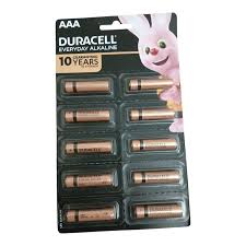 Duracell AAA Everyday Alkaline | Long Lasting | 10 Year Warranty