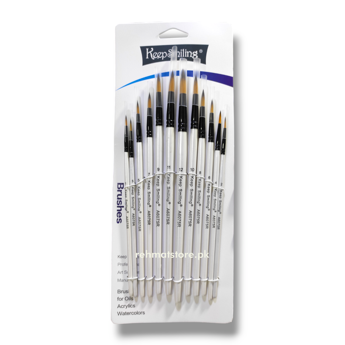 Paint Brush Set | 12 Brushes | Round Tip