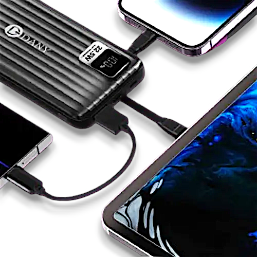 Dany Flash F-10 Power bank 10000 mAh