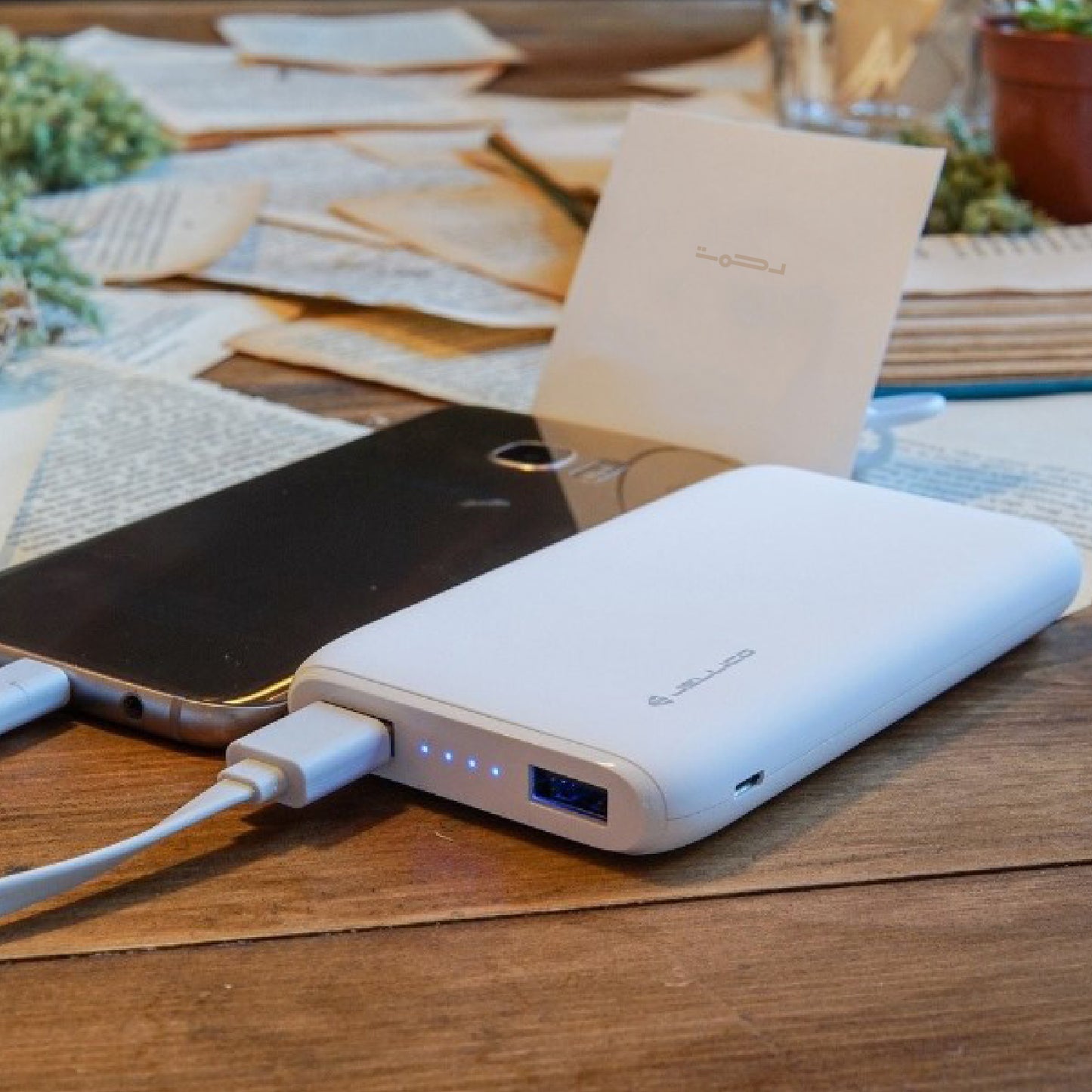 Jellico R10S PowerBank