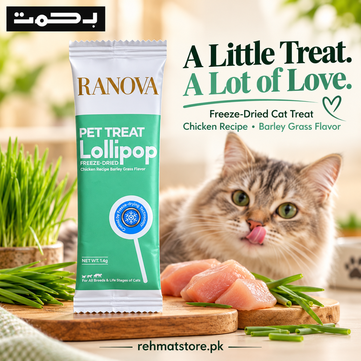 Ranova Freeze-Dried Pet Treat Lollipop | Cranberry / Pumpkin / Grass / Blueberry / Milk |