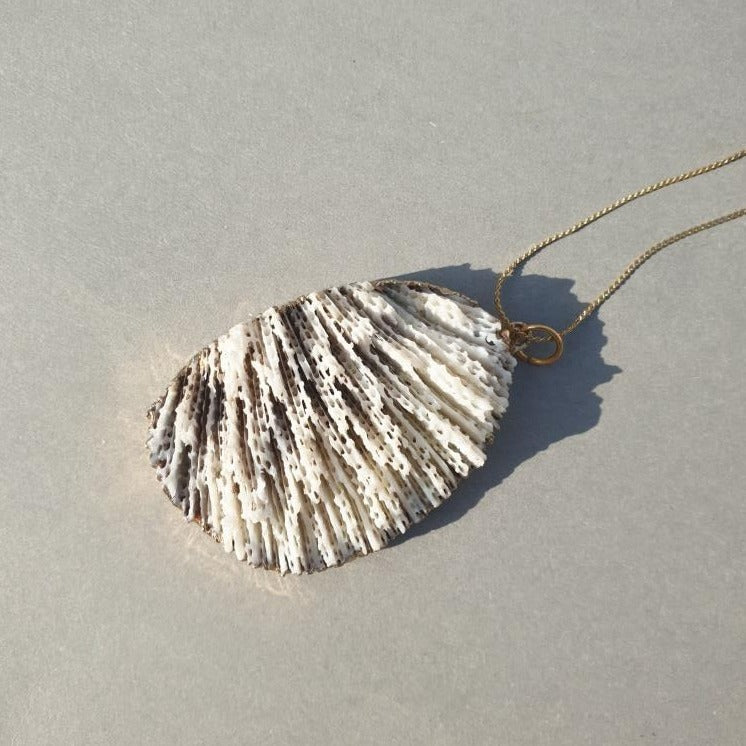 Sea Shell Pendant