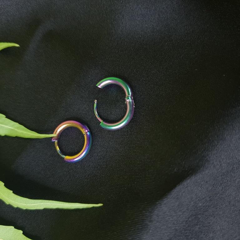 Mini Rainbow Hoop Earrings